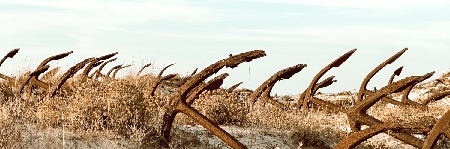 joocatarino_'s profile banner image
