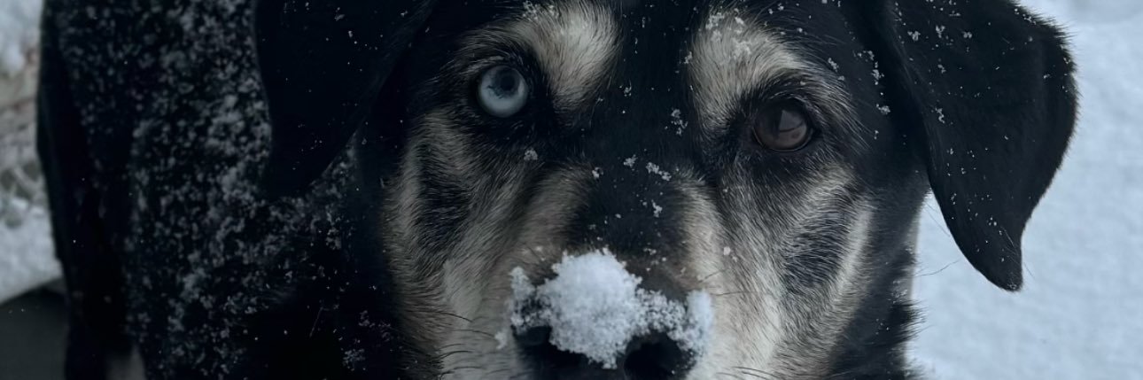 AlexLittleSsbu's profile banner image
