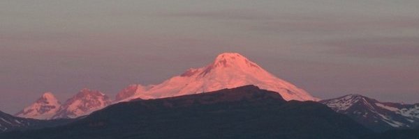 amorepetcare's profile banner image