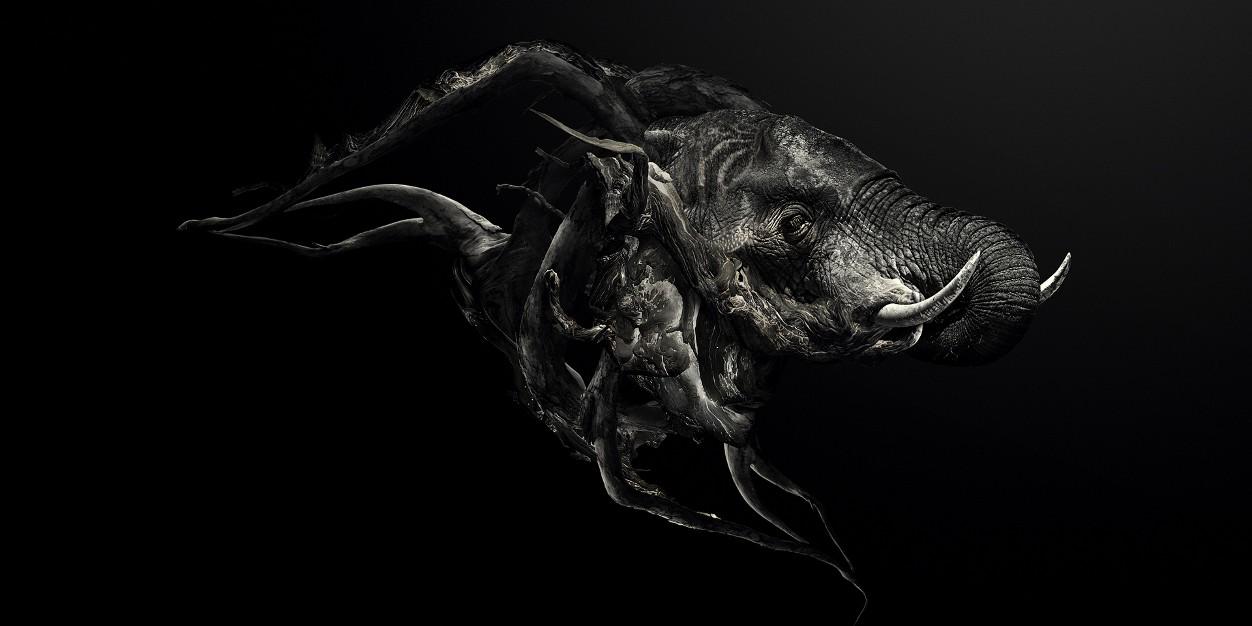 Baybrss's profile banner image
