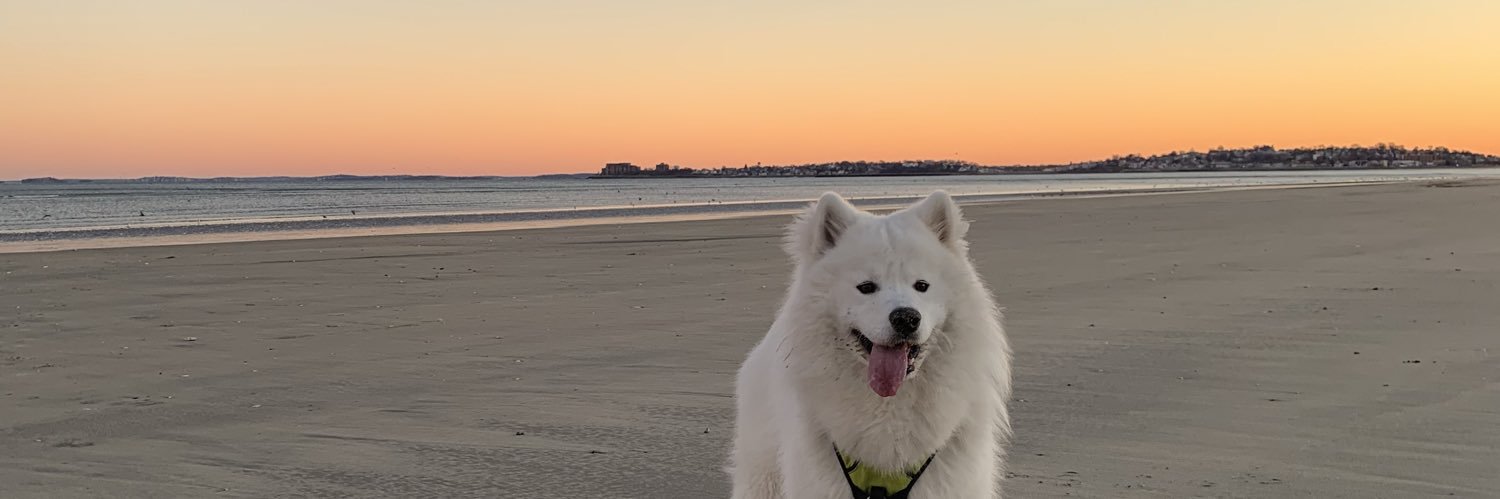 k_wall14's profile banner image