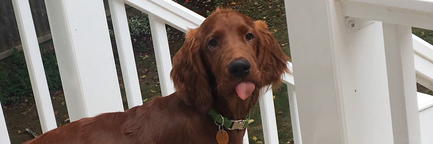 trappabby's profile banner image