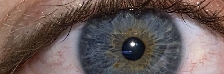 Xeexu7's profile banner image