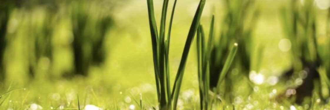 Victor H. Rodriguez banner