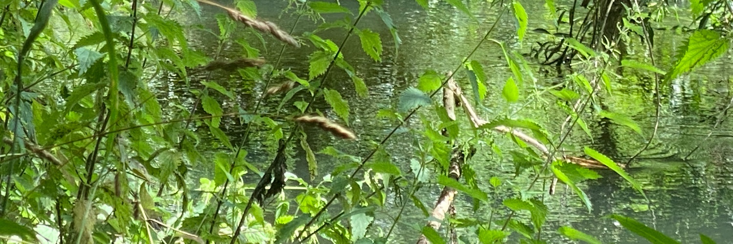 🇬🇧🏴󠁧󠁢󠁥󠁮󠁧󠁿🏴󠁧󠁢󠁳󠁣󠁴󠁿🏴󠁧󠁢󠁷󠁬󠁳󠁿🇮🇪 banner