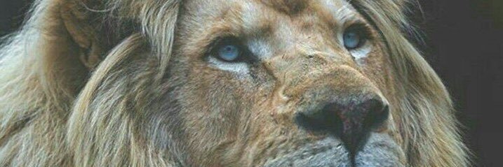 HESWES34's profile banner image