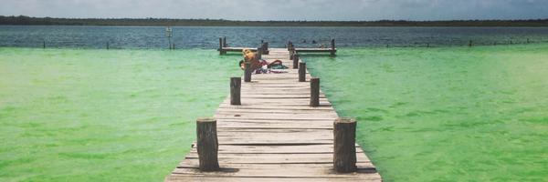 EmmaRobson01 Profile Banner