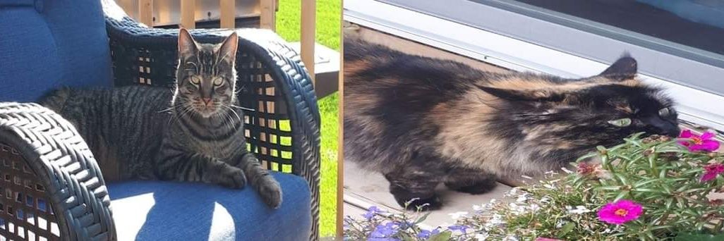 Isaachuffman44 banner