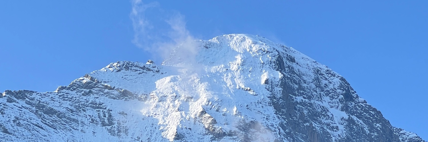 PREMELHE's profile banner image