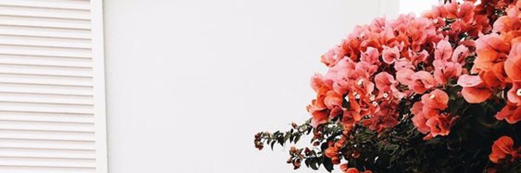 Seliwas's profile banner image