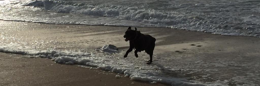 moljenksx's profile banner image