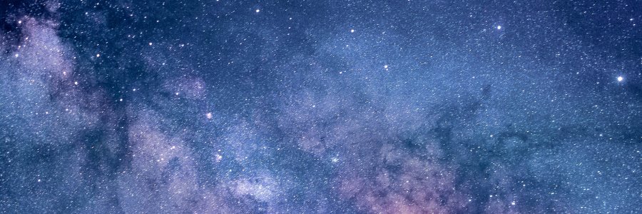 EllaRebella✨ banner