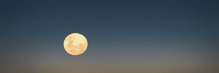Tammyexe's profile banner image