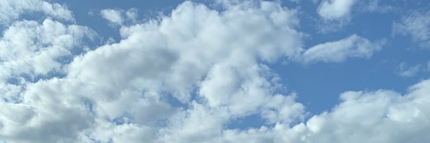 emuhleaf's profile banner image