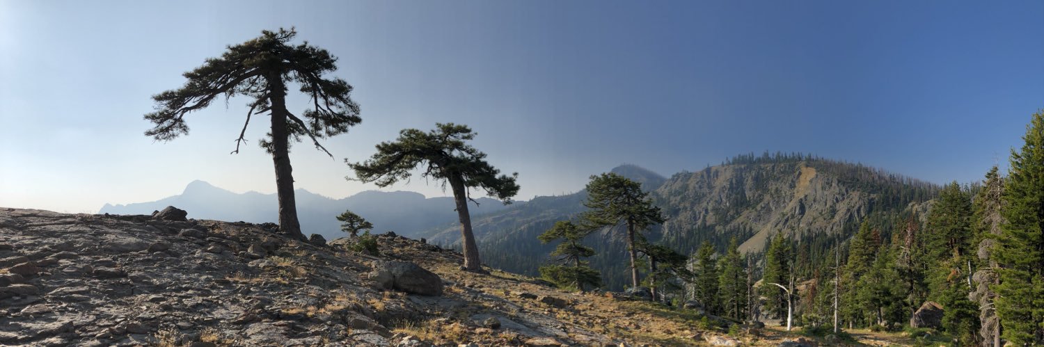 conifermann's profile banner image