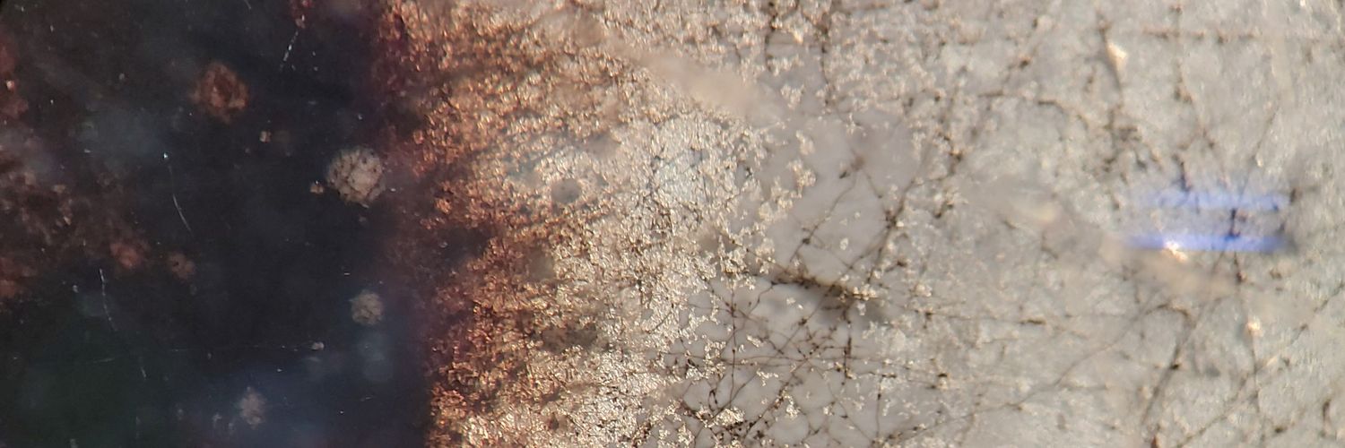 vickyvicsor's profile banner image