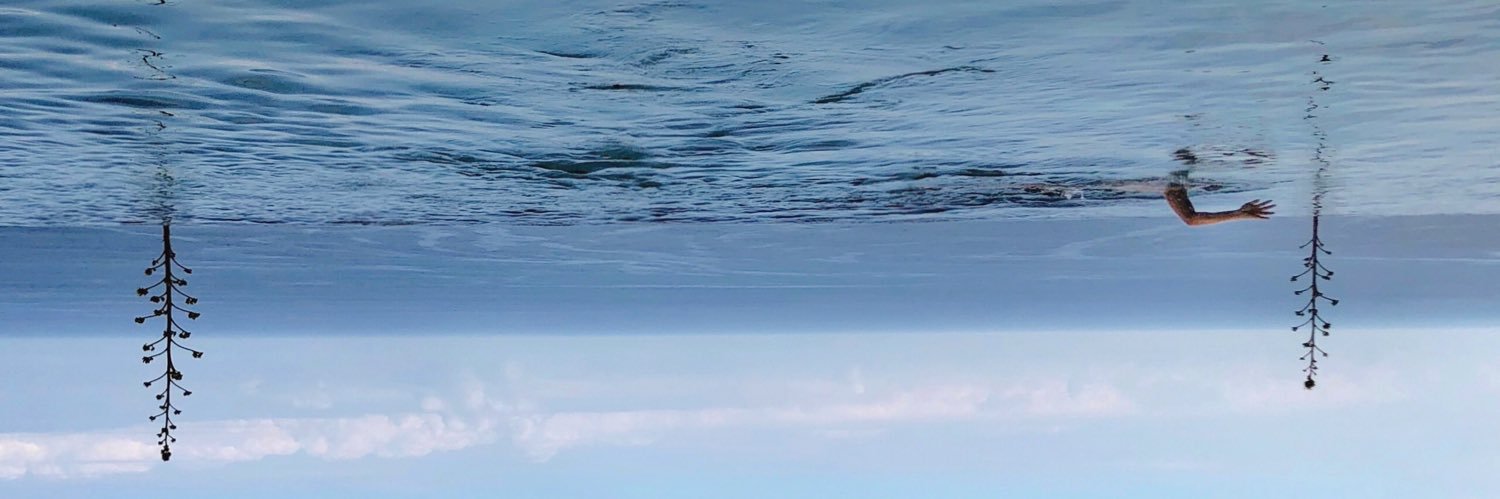 yohsandy's profile banner image