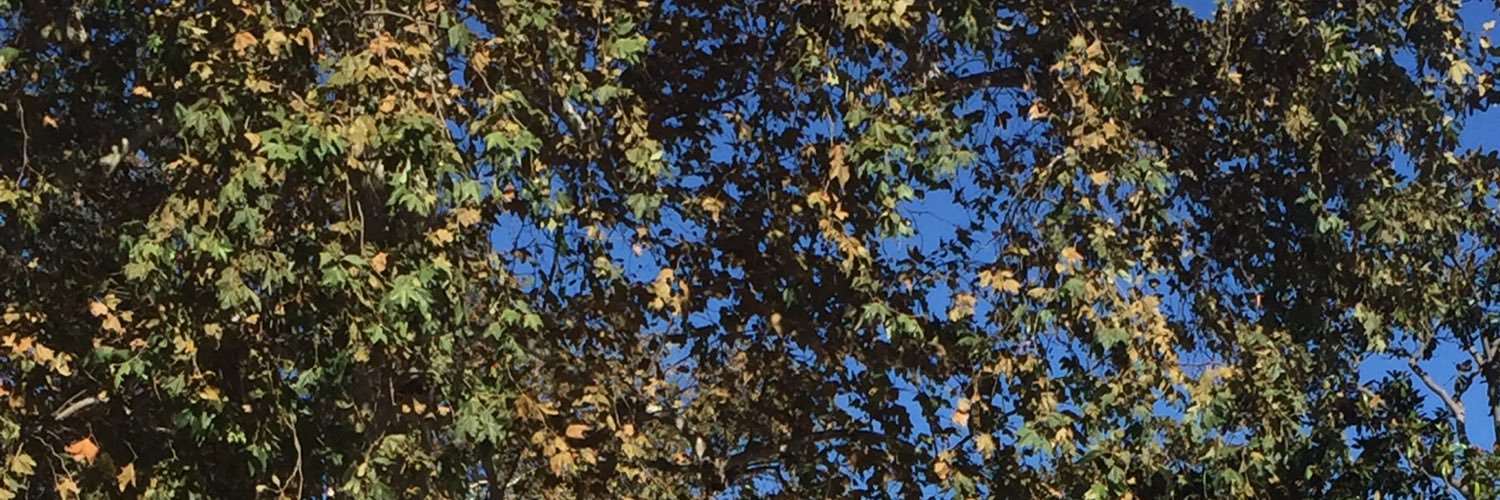 RosalindConerly's profile banner image