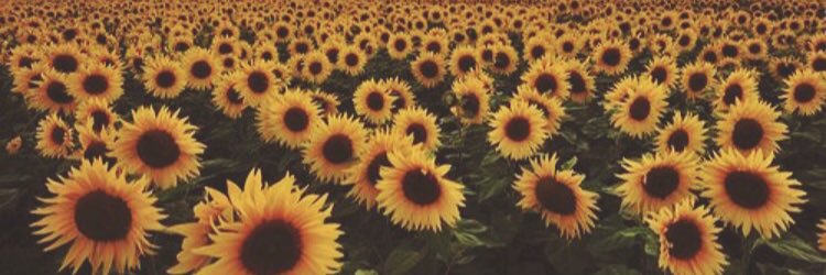BethanySaffs's profile banner image
