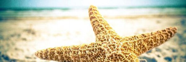 rmhsmarconi Profile Banner