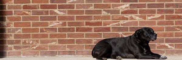 jeffharger Profile Banner