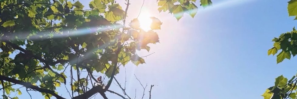 grassisgreenyea's profile banner image