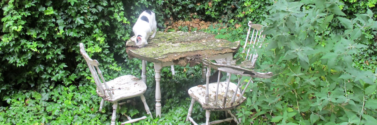 Elysia Brenner banner