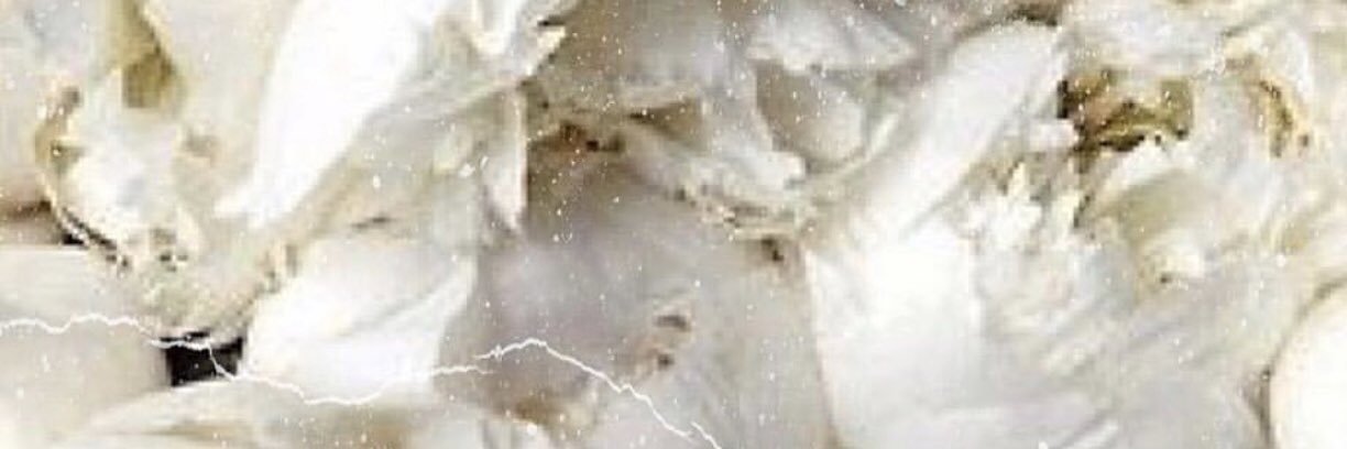 Naty banner