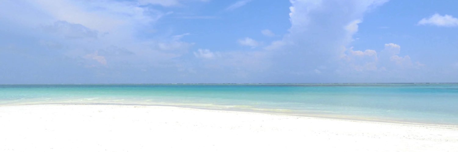 DanProctorSr's profile banner image
