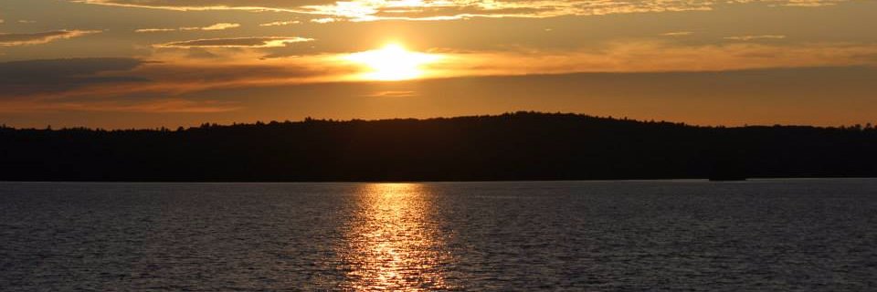 gilbert_eliz16's profile banner image