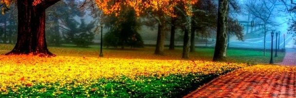 DAN98234610's profile banner image