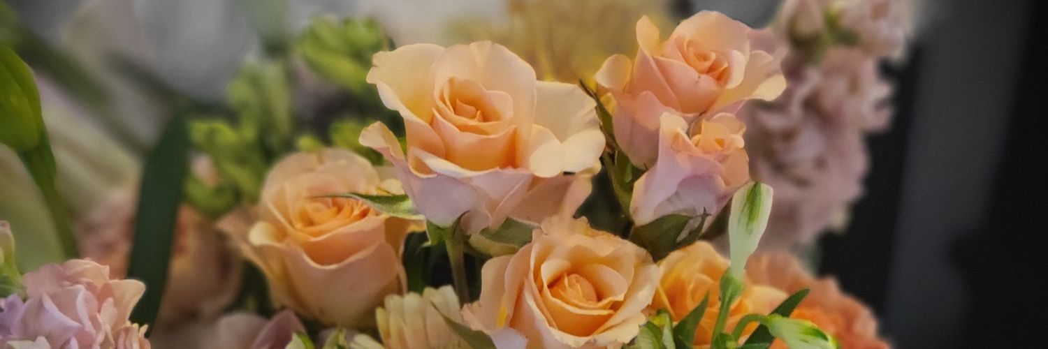 serena3750's profile banner image
