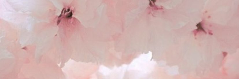 nicole_leannee's profile banner image