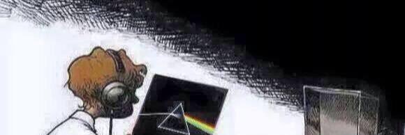 BongoFury_'s profile banner image
