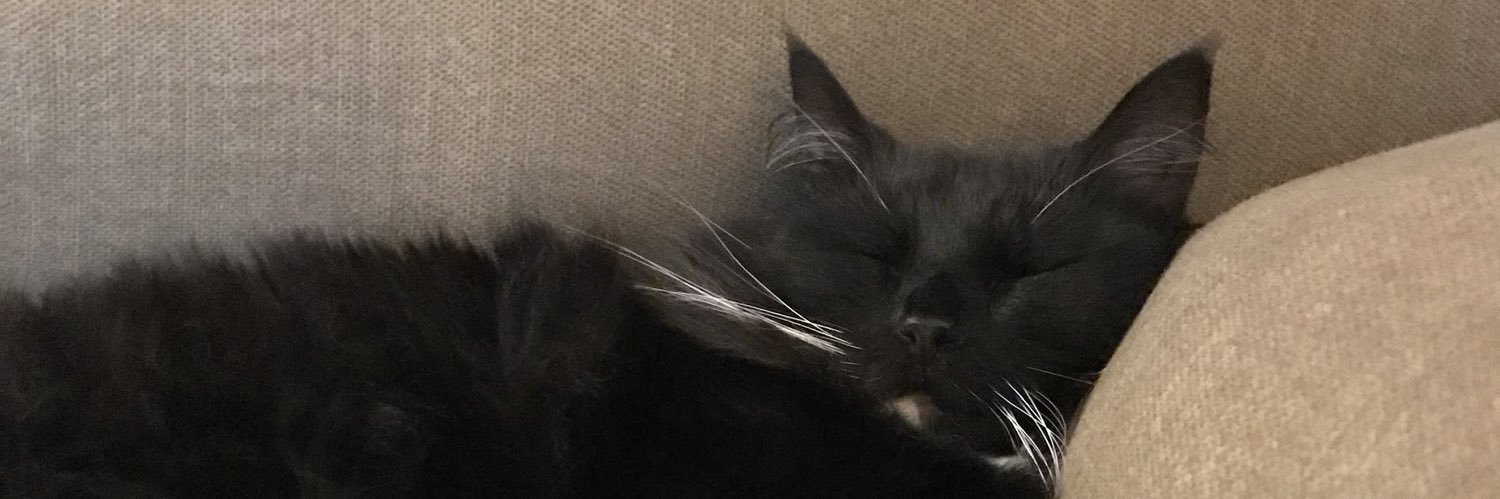 YaaasAshley's profile banner image