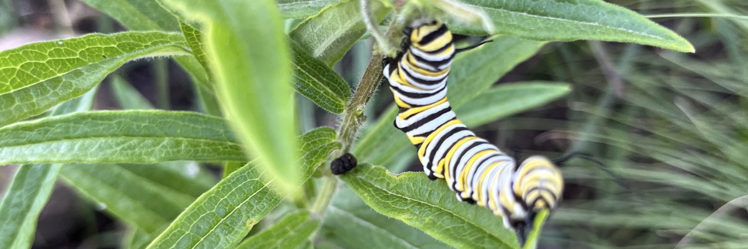 Ryan Leffelman banner