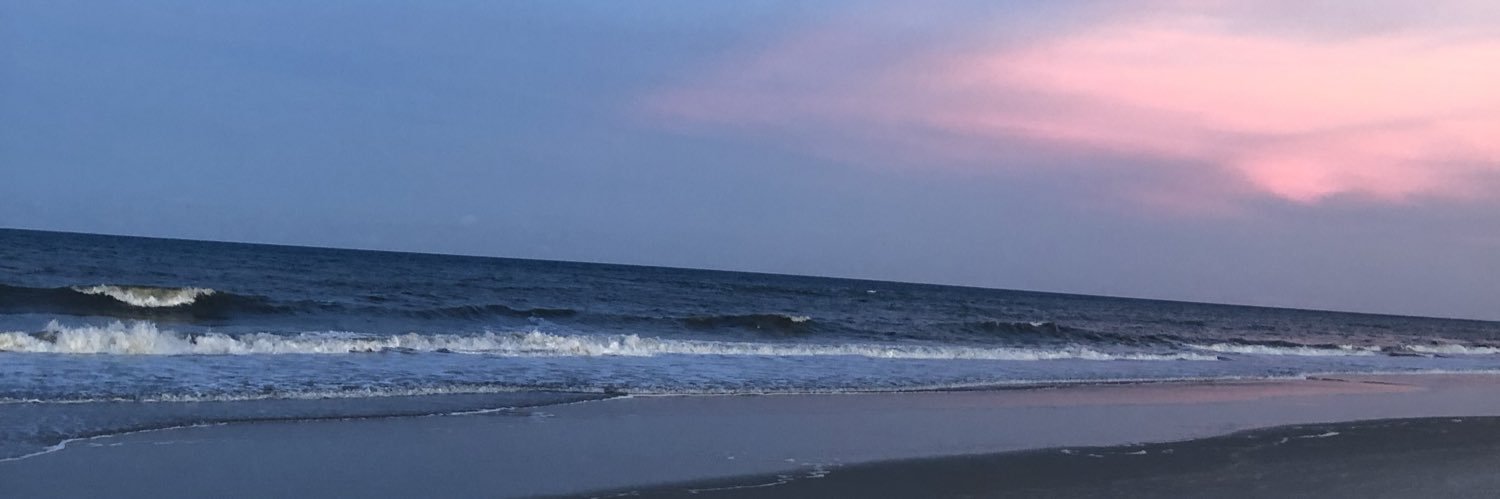 janthorr's profile banner image