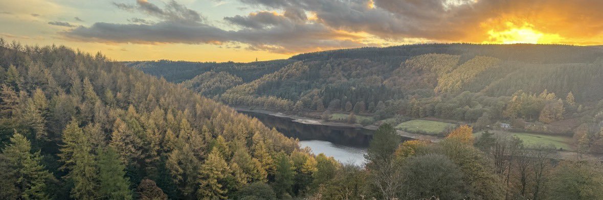 Caroline Morgan banner