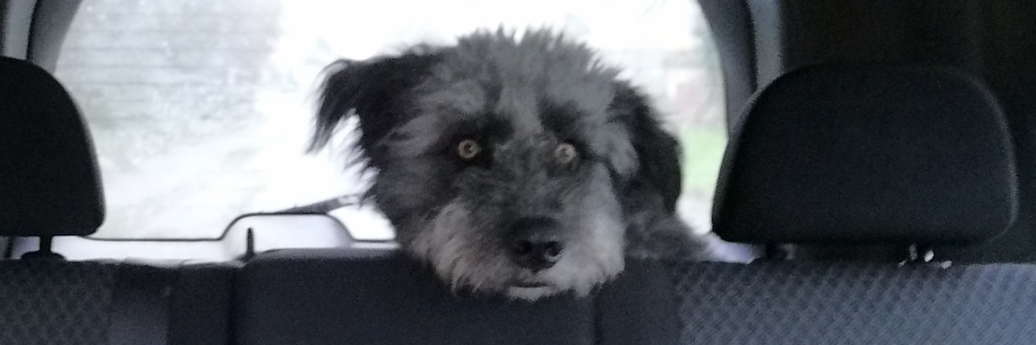 peebles87's profile banner image