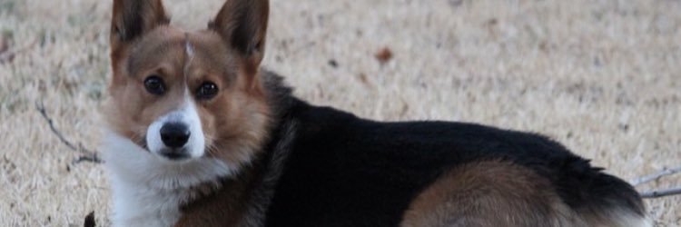 loran_perry's profile banner image