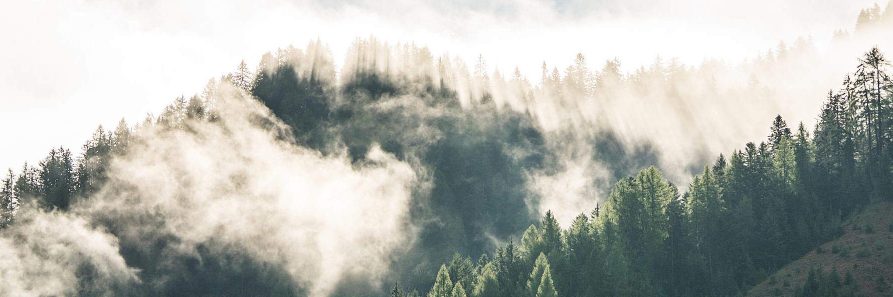 WRGCAM's profile banner image