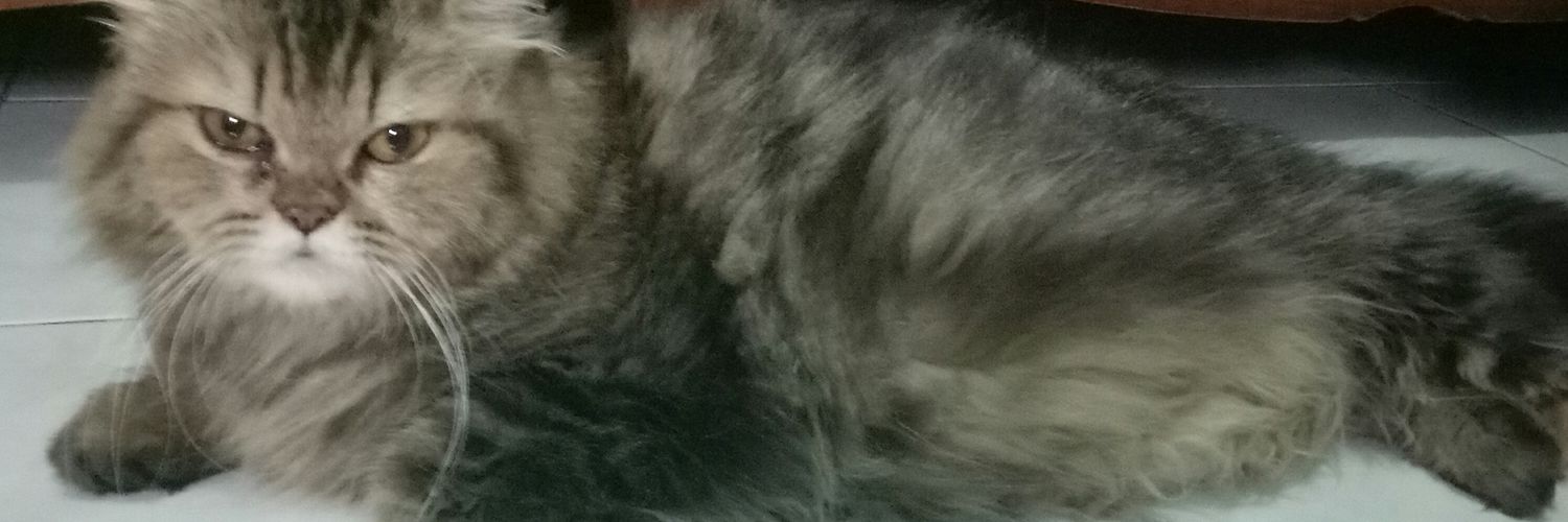 Lovely_BonBon's profile banner image