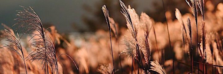 MoeTae_'s profile banner image