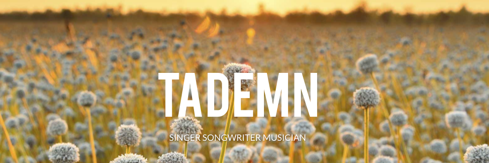 tademn's profile banner image
