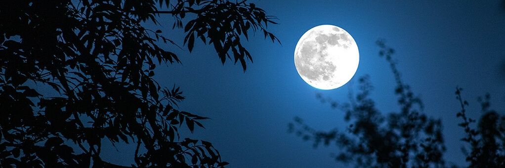 David Cameron banner