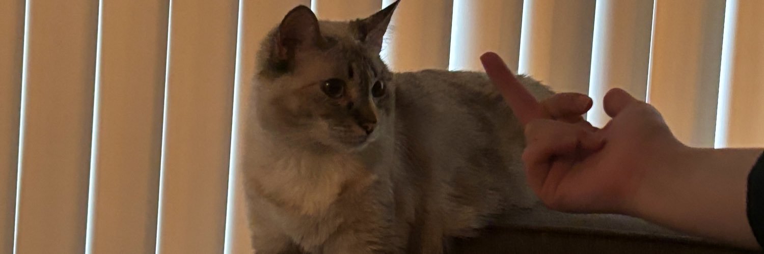 netoisbetter's profile banner image