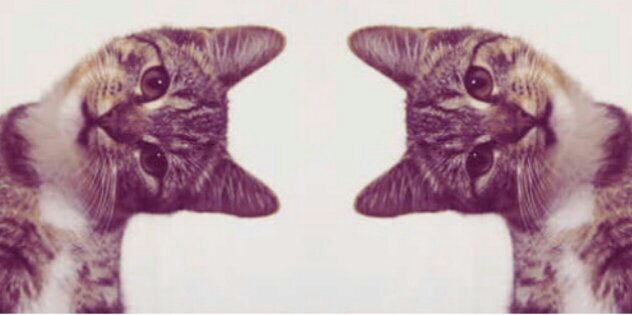 MIAGARINGGING's profile banner image