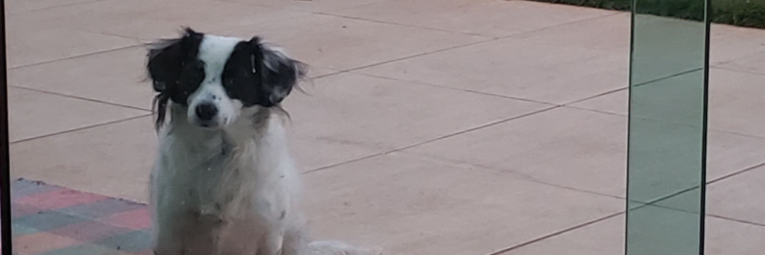 douggbh's profile banner image