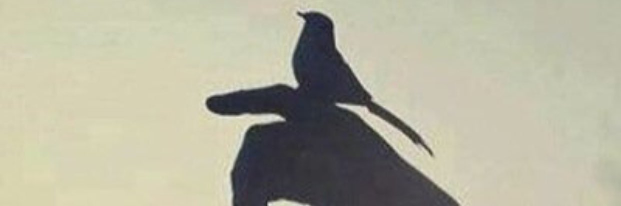theQuee87's profile banner image