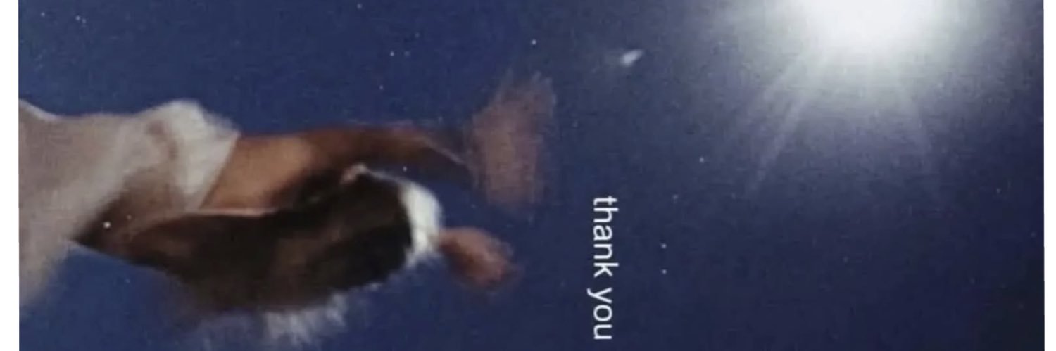 aaaliyahxo_'s profile banner image
